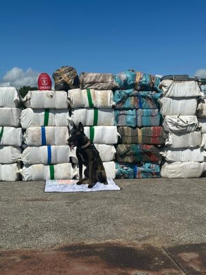 A Secretaria de Segurança Pública do Amazonas (SSP-AM), por meio da atuação das polícias Civil(PC-AM) e Militar (PMAM) nas bases fluviais, registrou apreensões recordes durante todo ano de 2024. As operações realizadas nos rios do estado fortalecidas com apoio do Corpo de Bombeiros (CBMAM), do Departamento de Polícia Técnico-Científica (DPTC) e da Força Nacional, resultaram na apreensão de entorpecentes, embarcações e materiais ilícitos, além de reforçar a repressão a crimes ambientais e frustrou que mais de R$ 350 milhões chegassem às mãos de organizações criminosas